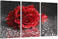 Модульная картина Цветы Роза Аrt-85_3А с лаковым покрытием