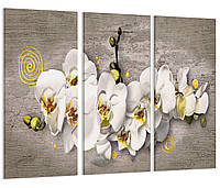 Модульная картина Абстракция Цветы Белые Орхидеи Art-223_XXL с лаковым покрытием