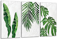 Модульная картина "Зелені листя Абстракція" Art-900_3A (53х100см) с лаковым покрытием