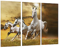 Модульная картина Белые Лошади Art-79_XXL с лаковым покрытием