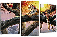 Модульная картина в гостиную / спальню Тигр на дереві Art-579_3 с лаковым покрытием