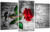Модульная картина в гостиную / спальню Червона Троянда Art-618_3 с лаковым покрытием