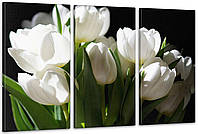 Модульная картина Цветы Тюльпаны Art-4_3А 100х150 см с лаковым покрытием