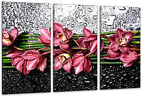 Модульная картина в гостиную / спальню Орхідея ART-303_3A с лаковым покрытием