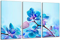 Модульная картина в гостиную / спальню Сині Орхідеї ART-053_3A 100х150 см с лаковым покрытием