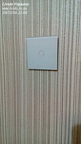 Фото наших клієнтів 20