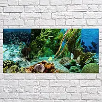 Плакат "Підводний світ, риби, кораловий риф", 28×60см