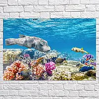 Плакат "Подводный мир, рыбы, коралловый риф", 40×60см