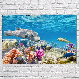 Плакат "Підводний світ, риби, кораловий риф", 40×60см