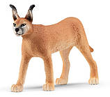 Іграшка фігурка Schleich Каракал Самка