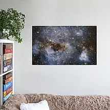Плакат "Велика Магелланова Хмара, галактика, Large Magellanic Cloud", 36×60см, фото 2