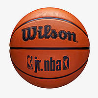 Wilson Jr. NBA DRV FAM Logo - Універсальний Баскетбольний М'яч