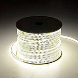 Світлодіодна стрічка Venom SMD 4040 120 д.м. (IP67) 220V біла (VP-4040220120-W) Білий, фото 2