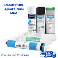 Комплект картриджів Ecosoft P’URE AquaCalcium Mint "12 місяців" (комплект осмо)