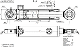 Гідроциліндр 40.25.100.290 шс 20 ( хід штока 100 мм), фото 2