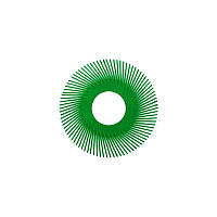 Полимерный круг для Bristle BB-ZB, P50, 150х50 мм, зеленый