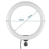 Селфи кільце лампа 31 см на міні штатив з тримачем для телефону LED підсвічуванням професійна світло, фото 4