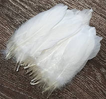 Пір'я гуся натуральні Декоративне перо Біле 13-20см