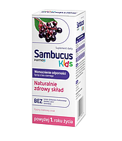 Sambucus Kids Самбукус Кідс сироп 120 мл