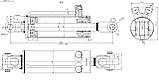 Гідроциліндр ЮМЗ ЦС100 Н.О (шток 40 мм) навіски (рогатий шток). ГЦ100х40х200.515 з пальцями, фото 3