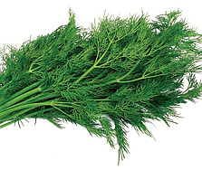 Кріп кущовий Nasko АМБРОЗІЯ 50 грам