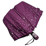 Парасолька напівавтомат Frei Regen FAS3027 жіноча на 9 спиць Зірочки з горошком (88860-5-E) Фіолетовий, фото 2
