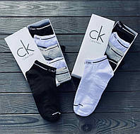 Подарочный набор из мужских носков, 6 шт, Ck (0310) (размер 38-44)