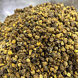 Перга бджолина 1000 грам, фото 6