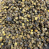 Перга бджолина 1000 грам, фото 8