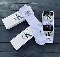 Подарочный набор из мужских носков, 6 шт, Ck (0311) (размер 38-44)