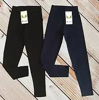 Лосини та гамаші