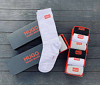 Мужской подарочный набор, фирменные носки 6 шт, HB (0313) (размер 38-44)