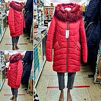 Женская зимняя куртка KRISTIN 52-54