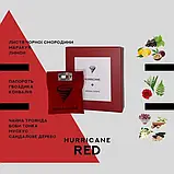 Подарунковий набір парфумів для автомобіля "Hurricane Standart Red" (Подушечка-Саше + Auto Perfume Спрей), фото 4