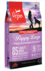 Корм Orijen Puppy Large Breed (Оріджен Паппі для цуценят великих порід, курка з індичкою), 11,4кг.