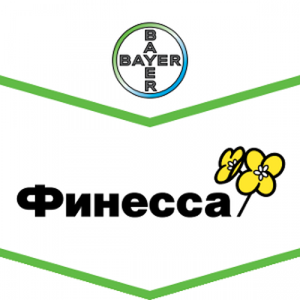 Семена рапса озимого Финесса (Bayer), фото 2