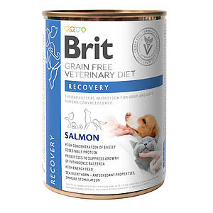 Brit VD Recovery Cans для собак і кішок із лососем 400 г