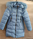 Куртка зимова на дівчинку на флісі темно-синя, фото 10