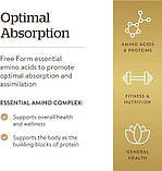 Solgar B Complex 100, комплекс витаминов группы B «100», 100 капсул, фото 5