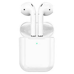 Бездротові навушники BOROFONE BW31 True wireless stereo headset White