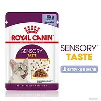 Вологий корм для котів Royal Canin Sensory Taste Jelly pouch 85 г, 3+1 шт - домашня птиця, фото 3