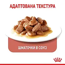 Вологий корм для котів Royal Canin Digest Sensitive Gravy pouch 85 г, 3+1 шт - домашня птиця, фото 3