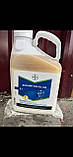 Інсектицид Біскайя 1 л Розлив, фото 2