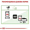 Вологий корм для котів Royal Canin Digest Sensitive Gravy pouch 85 г, 3+1 шт - домашня птиця, фото 6