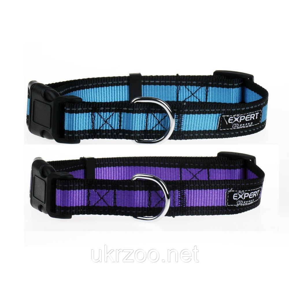 Нашийник,світловідбиваючий,нейлон Expert,2,5х35-50см (синій,фіолет) (10 шт/уп.), фото 1
