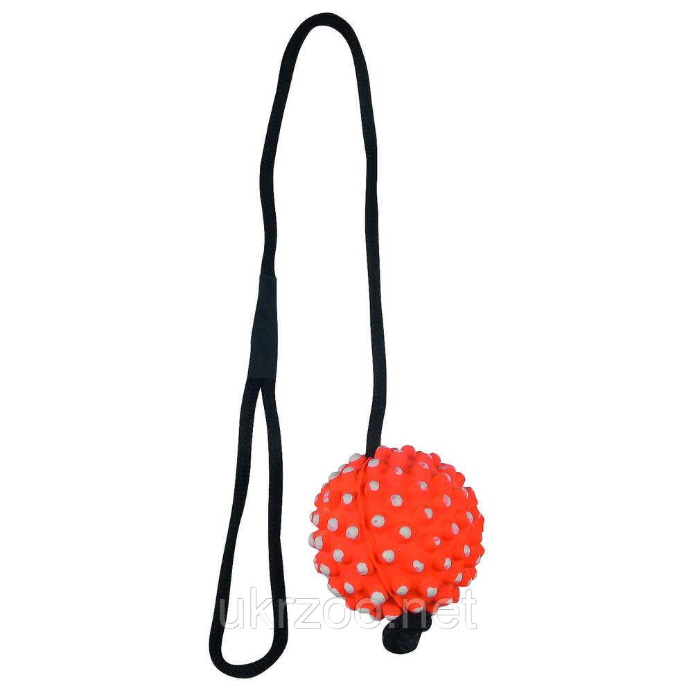 Іграшка для собак Dental Fun м'яч на мотузці, гума 7,2*50 см (12 шт/уп), фото 1