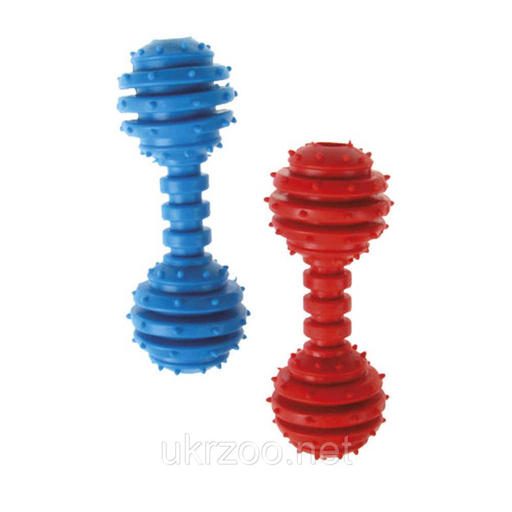 Іграшка для собак Dental Gum гантелька гумова,12,5 см (різні кольори) (12 шт/уп), фото 1