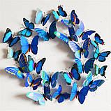 Декоративні 3D- метелики на магнітах, наклейки на стіну Синій колір 12 шт., фото 2