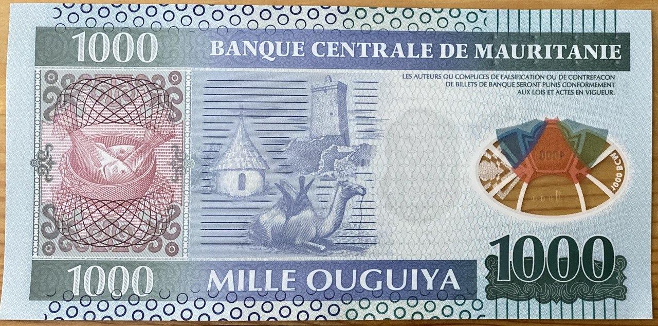 Банкнота Мавритании 1000 огуйа 2014 г. UNC - фото 2 - id-p2008800280