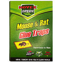 Клеевая ловушка-книжка HOVEX GREEN 16,5*24 см. Для уничтожения грызунов (мышей и крыс)